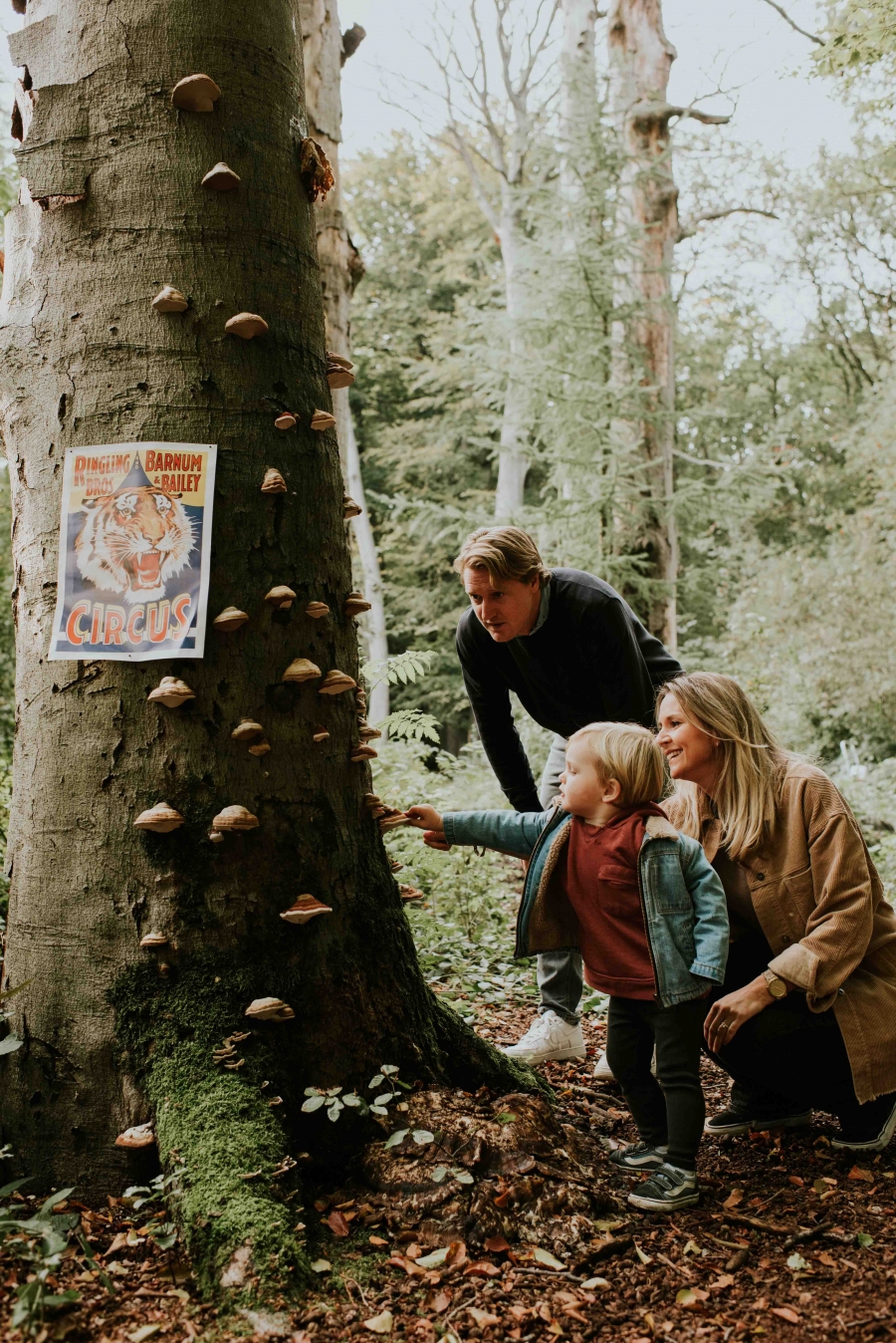 FIH Fotografie » Magische bos shoot